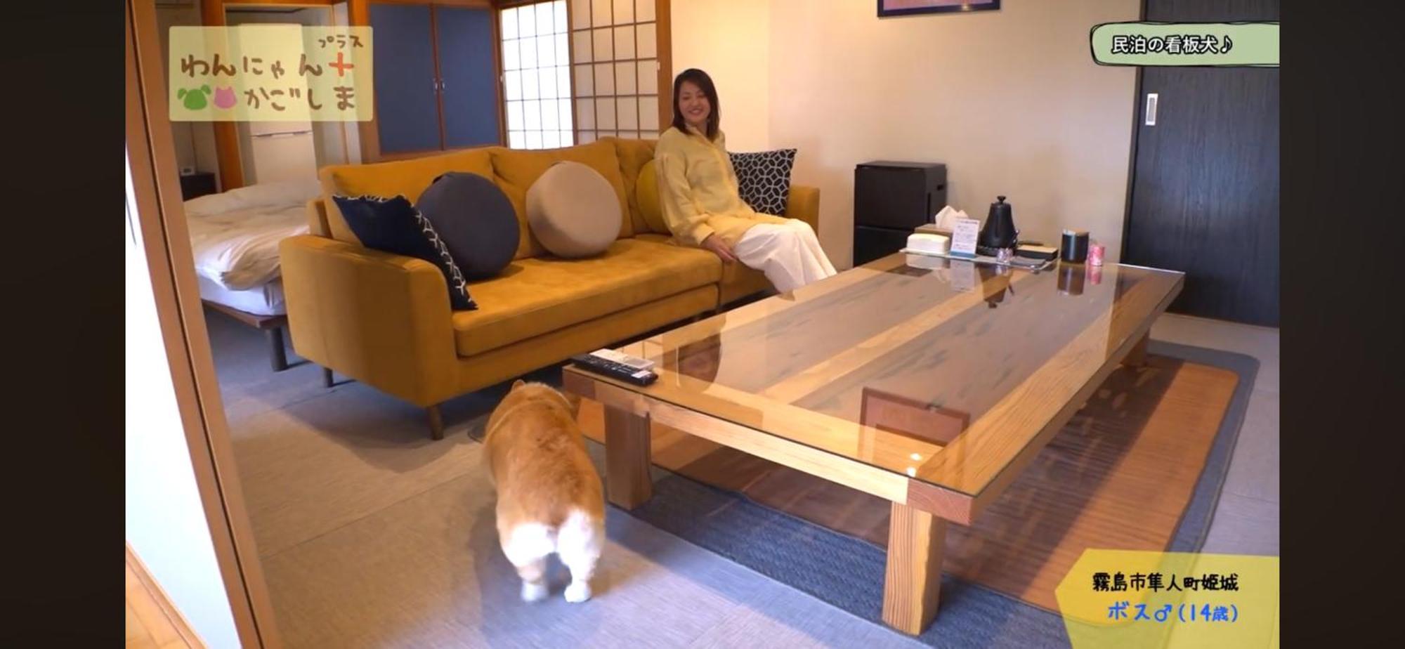 Boss'Shouse 犬ok 1組限定の宿 Kirishima Luaran gambar